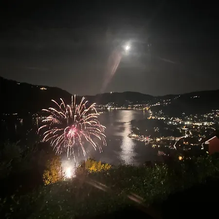 Citriodora Вилла *